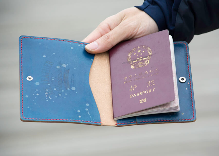 Passport Case 